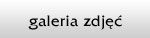 galeria zdj��